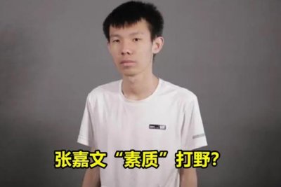 ​“国服第一男枪”张嘉文最脏打野教科书，网友：雀氏虚浮