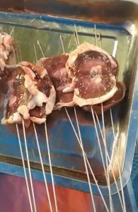​家庭烧烤，户外烧烤准备食材配料料和做法分享