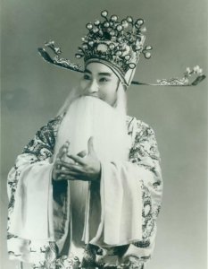 ​山西梆子须生大王-丁果仙