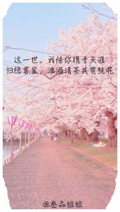 ​很潮很流行的句子，我愿陪你桃花十里鲜衣怒马，浪迹天涯四海为家