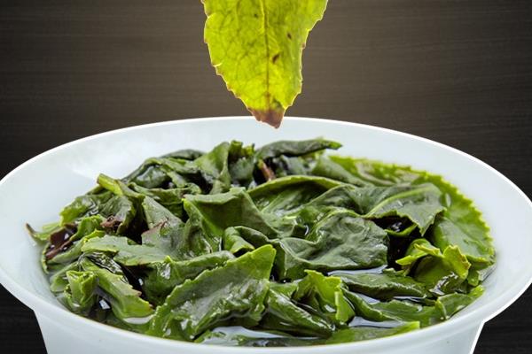 乌龙茶可以天天喝吗 可以这样喝