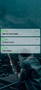 ​「微信聊天信息壁纸」浮世三千 吾爱有三 日月与卿