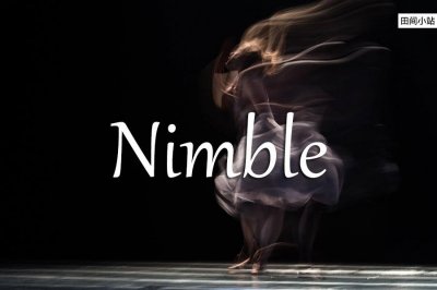 ​小词详解 - nimble