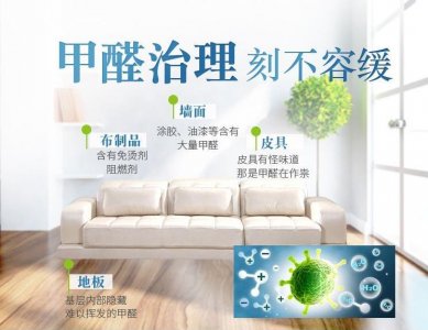 ​除甲醛的绿植前5名，养几盆保持一整年空气洁净，身体更健康！