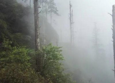 ​四川黑竹沟，究竟是怎样的地方？人畜一旦进入后就会失踪或死亡