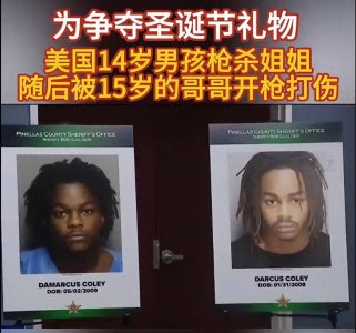 ​笑不活了，美国14岁男孩为争夺礼物枪杀姐姐，笑死在网友评论区
