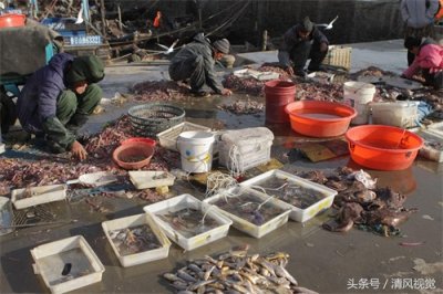 ​渔民卖魔鬼鱼随身带剪刀，3元一斤你会不会买？