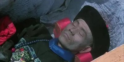 ​1995年成都僵尸事件