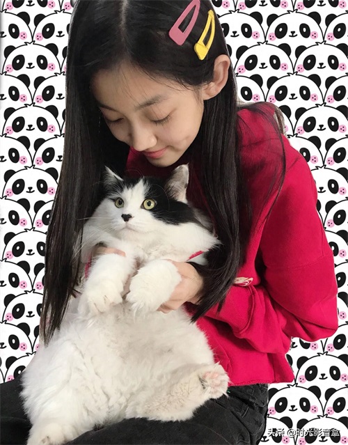 小李慧珍日常美图欣赏：曲芷含一路走来很努力，爱笑的女孩运气好