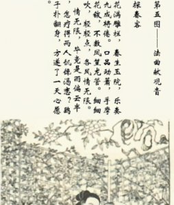 ​《花营锦阵》-图五：法曲献观音-鹞子扑翻身，方遂了一天心愿