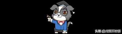 ​给猫猫驱虫，这些注意事项不能忘
