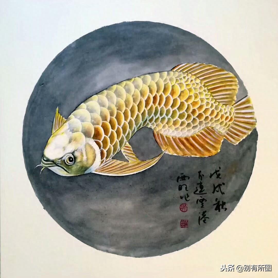 风水画软卡金龙鱼《鸿运当头》系列美图欣赏