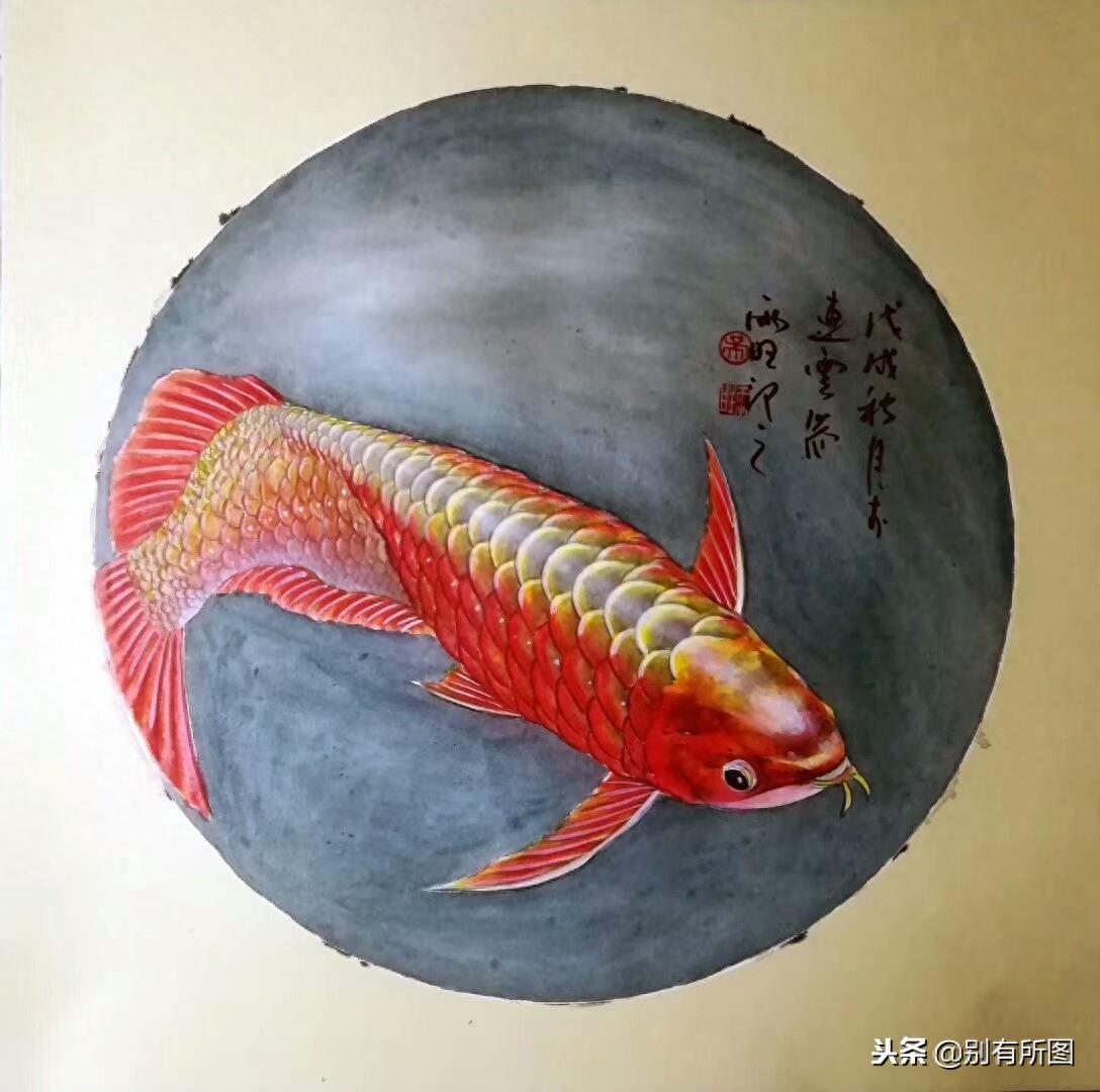 风水画软卡金龙鱼《鸿运当头》系列美图欣赏