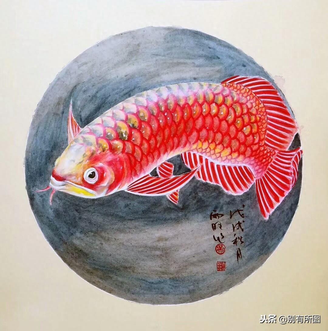 风水画软卡金龙鱼《鸿运当头》系列美图欣赏