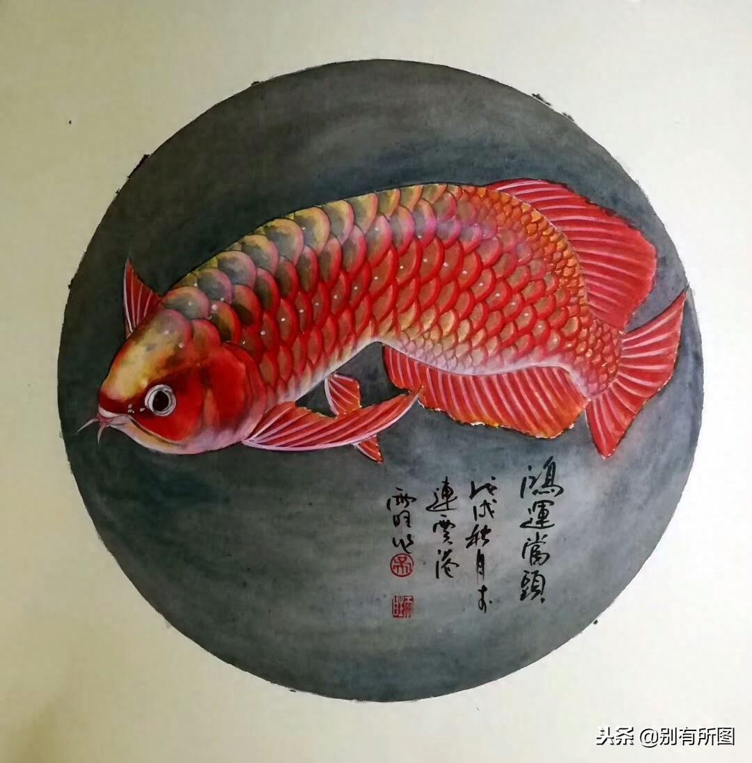 风水画软卡金龙鱼《鸿运当头》系列美图欣赏