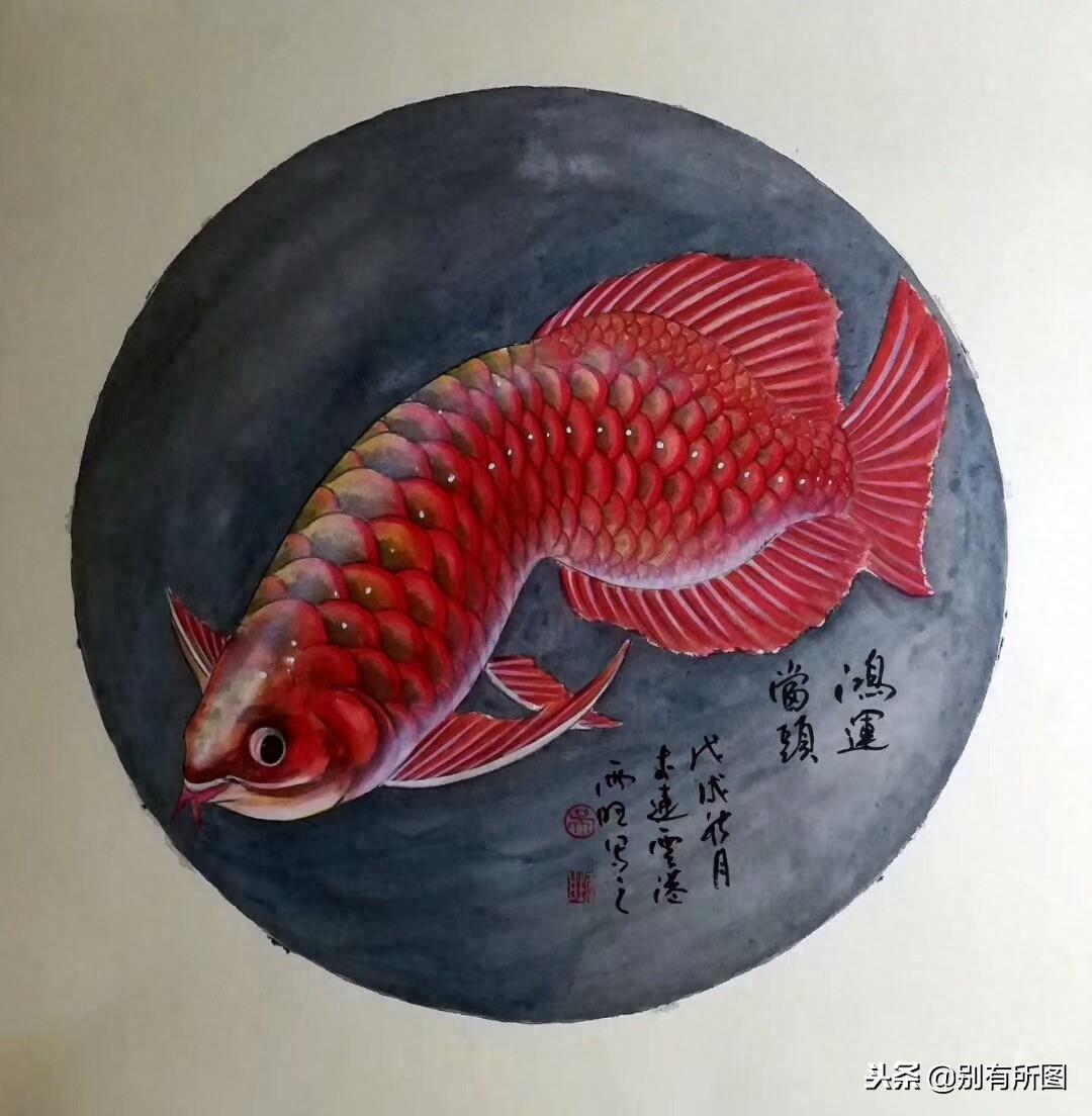 风水画软卡金龙鱼《鸿运当头》系列美图欣赏