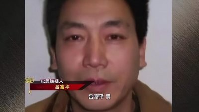 ​西安男子组团挖自家祖坟，内部发现价值上亿文物，正高兴呢被抓了