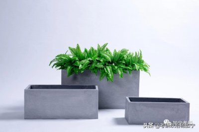 ​「干货投喂」中国近现代史21位人物总结