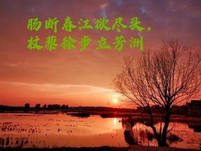 ​超级飞花令-断肠