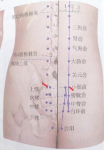 ​每日一穴-小肠俞