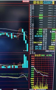 ​碧桂园股价暴跌9%