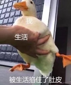 ​侯非侯，王非王，千乘万骑归邙山！狡兔死 良弓藏；我之后 君复伤