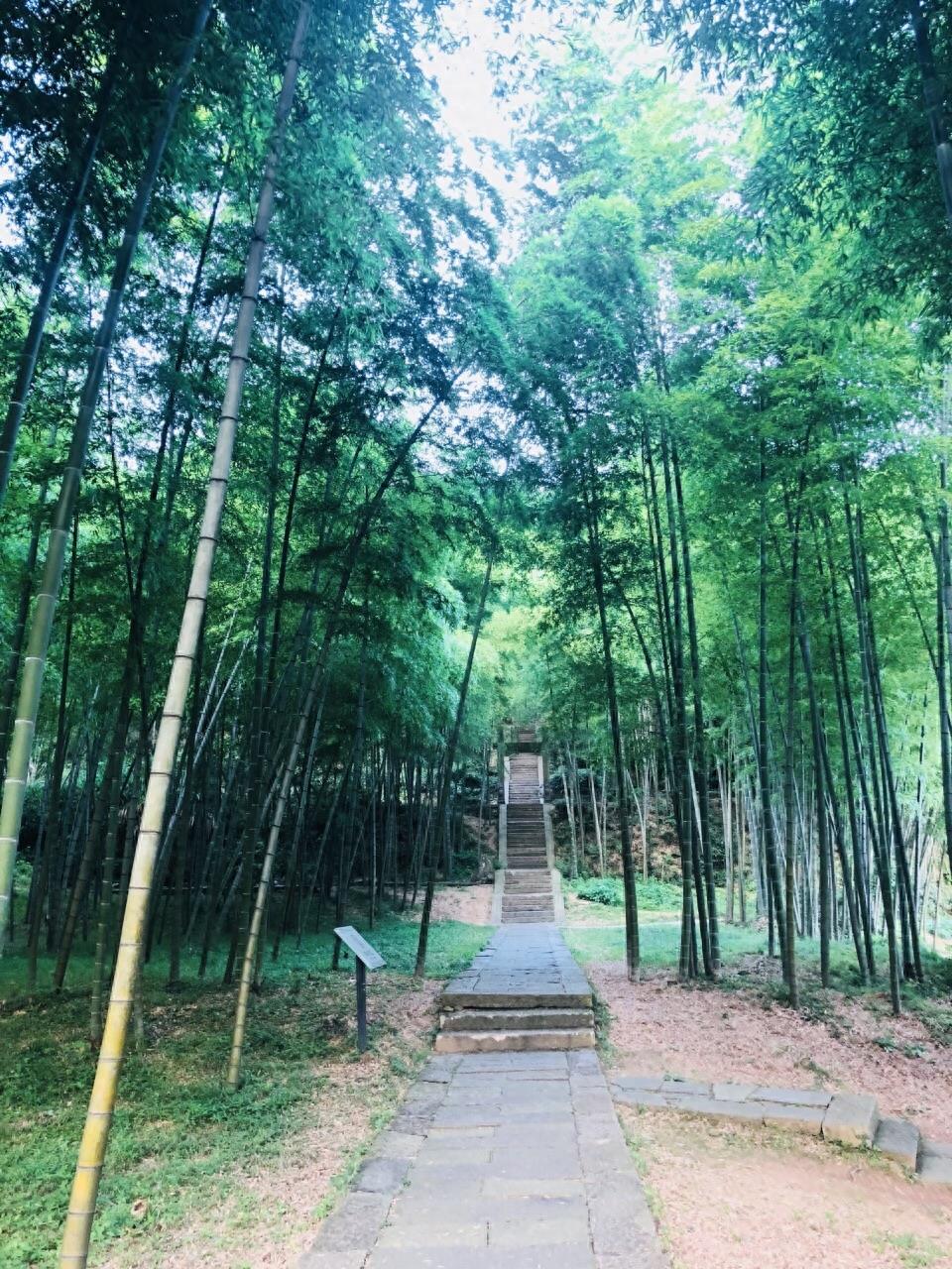 浙江金华 浦江县 仙华山