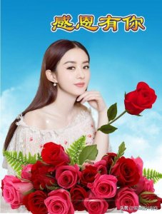 ​感恩节头像壁纸图片，感谢头条朋友的一路支持