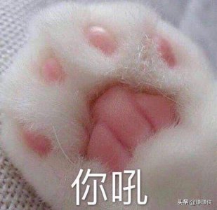 ​美滋滋表情包：我可以去你家睡觉吗？就一晚