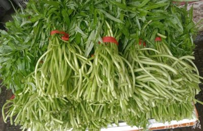 ​头茬黎蒿抢先上市“身价不菲”
