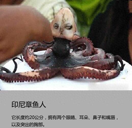 世界上最凶残、最恐怖的十大生物！曾经威胁到人类的生存！胆小的劝你别看