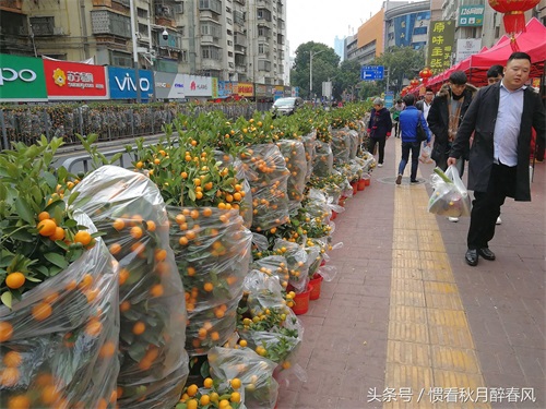 走进黄贝岭村，是深圳最古老最有名的城中村之一，位于深圳中心区