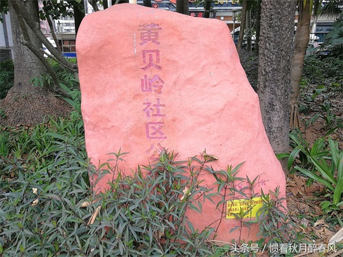 走进黄贝岭村，是深圳最古老最有名的城中村之一，位于深圳中心区