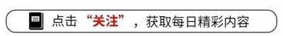 ​让叶帅惊叹的惨烈战争 中越“两山轮战”