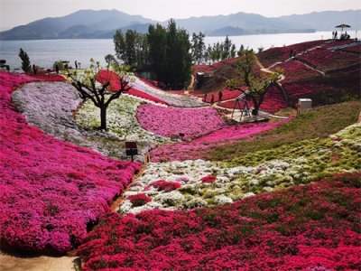 ​唐山迁西雨花谷