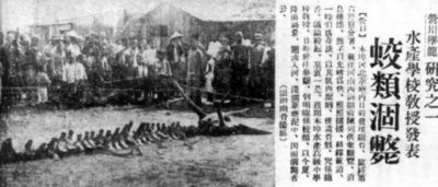 ​“营口坠龙”事件：有图有真相，70年后龙骨现身，揭开真龙面纱