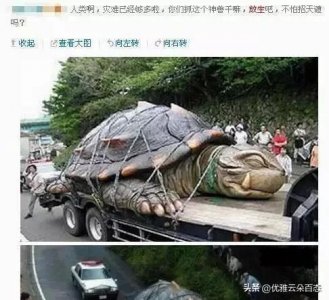 ​奇闻异事之黄河巨龟事件