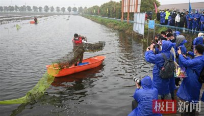 ​潜江龙虾开捕上市，第一笼虾拍得28万元，一只虾能玩出108种花样