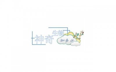 ​你知道为网红产品排队的心理吗？