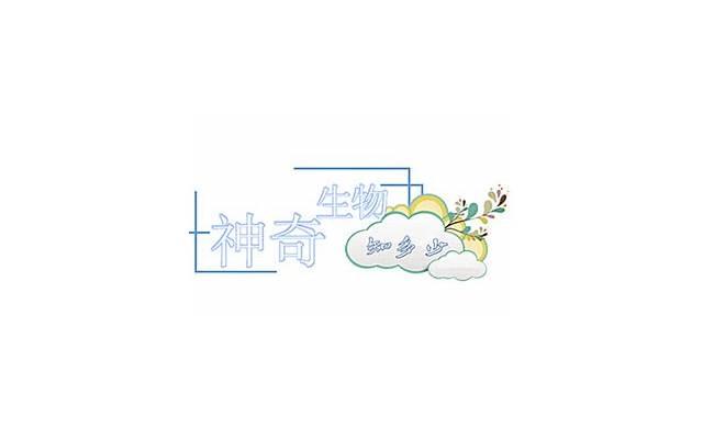 你知道为网红产品排队的心理吗？