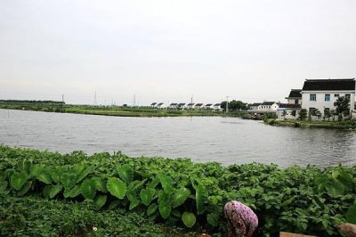 ​去村子里逛逛 之 江湾村