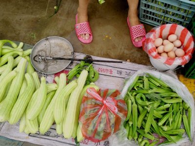 ​农民餐桌上的瓜类，十张图片你能认出来几张？