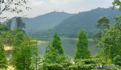 ​南沙黄山鲁森林公园：大自然的魅力所在