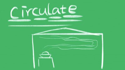 ​circulate什么意思