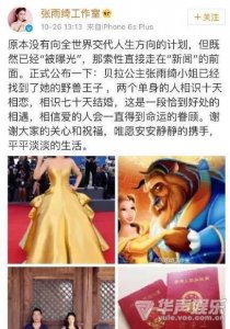 ​张雨绮闪电再婚 老公身份背景曝光
