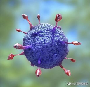 ​重大突发公共卫生事件一级反应指的是什么？