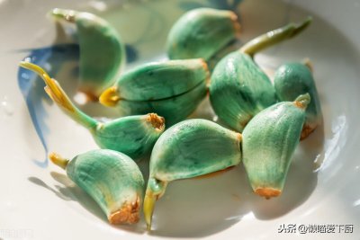 ​泡腊八蒜时，用米醋好，还是用陈醋好？口感差很多，别再用错了