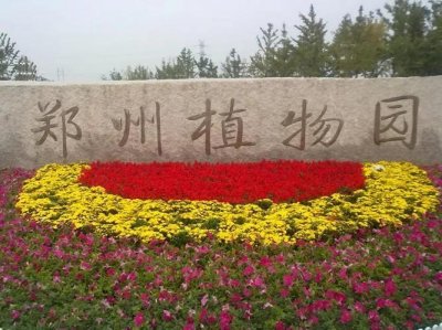 ​郑州的后花园——郑州植物园(适合遛娃，约会，赏花，拍照)