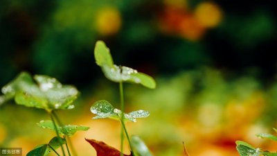 ​50句关于秋雨的诗句