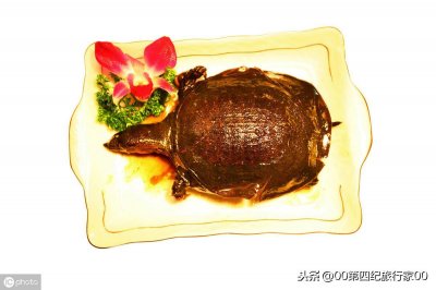 ​中国地理标志产品系列（河南篇）——潢川甲鱼